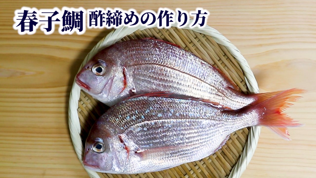 銀座渡利 カスゴの捌き方と酢締めの仕方 3枚おろしと背開きの用途の違いなど紹介してます 動画 T Co 2frzojq0kh 春子 おうちごはん Twitter家庭料理部 料理好きな人と繋がりたい 料理教室 お腹ペコリン部 釣り 釣り好きな人と繋がり