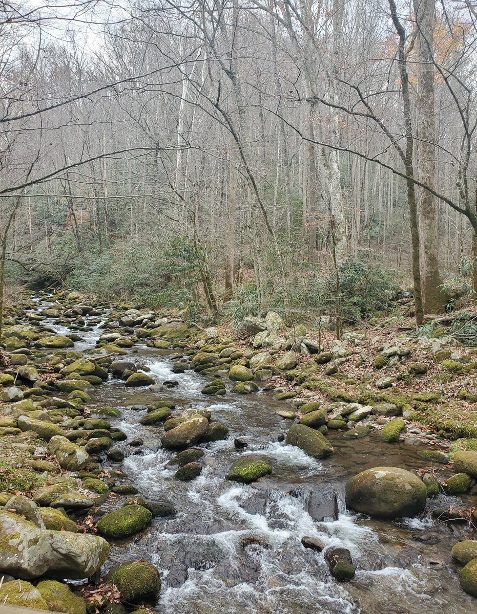 Look where I visited today!! My fav place. I'm only 30 mins from the Smoky mountains!! It was 69 here today. At home, it was in the 30's. 🤷‍♀️