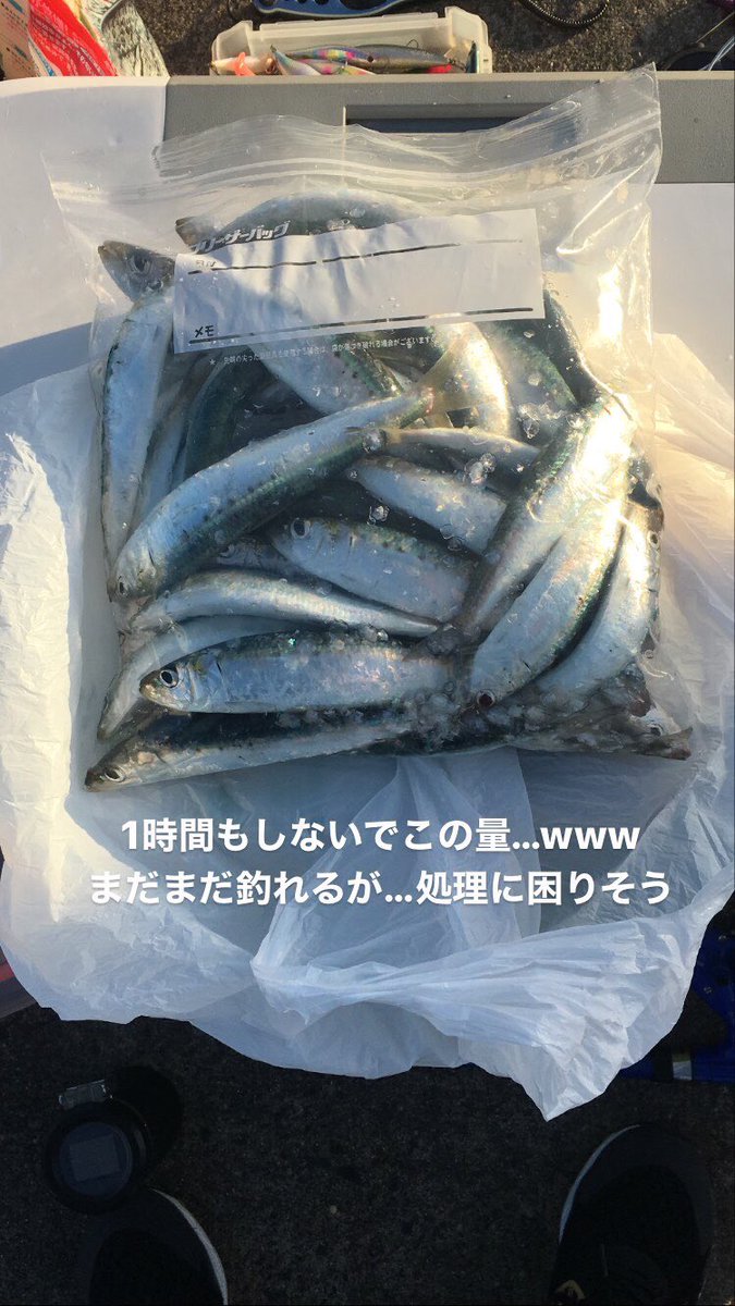 アークバード 11 22 朝６時過ぎ １１時近くまで 銚子外港にてマイワシの爆釣 サビキでコマセ無しで ２０ クラスのがバンバンつれて 結果0匹www 後半 隣に我孫子からカップルに仕掛けをあげて コマセ撒いて 渋い中５匹くらい釣れてくれて良かった