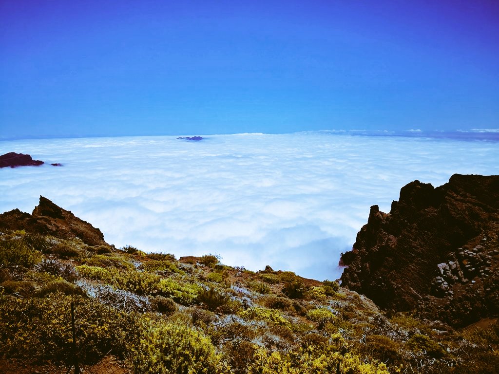 smorlanza's tweet photo. Mirando en el baúl de los recuerdos. He visto esta foto que hice en uno de mis últimos viajes, antes del #cobi19. Concretamente en la isla bonita, La palma. Una experiencia única! 💛💙
#AHORA #LaPalma #FelizSemana https://t.co/HiHCnjA5Nz https://t.co/TsChcnksn1