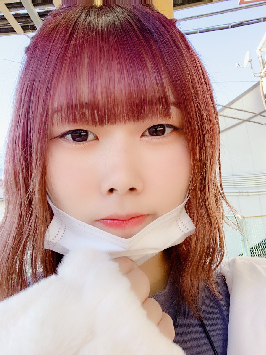 ぴよっ ぴー ほら髪染めた 何色が可愛いんだろう ヘアカラー ヘアアレンジ ぴよっ ぴー ほら髪染めた 何色が可愛いんだろう ヘアカラー ヘアアレンジ