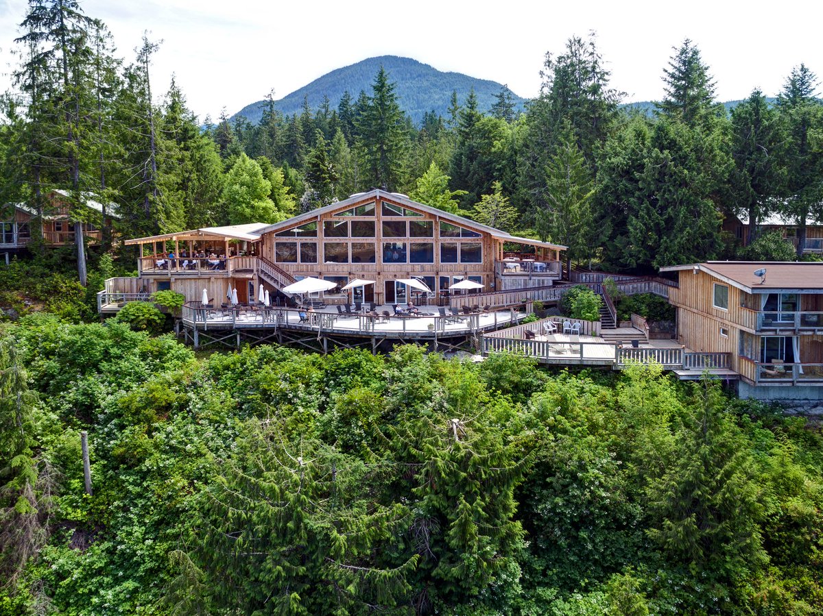 WCWLodge's tweet photo. Our little slice of paradise perched atop a cliff over looking the spectacular scenery of Egmont in the heart of the Sunshine Coast.
⠀⠀⠀⠀
📷: Insight Photography
#WCWLodge in Egmont, BC. ☀️
.
.
.
.
.
.
.
.
#EACWild #EgmontWild #Egmonster #SunshineCoastBC https://t.co/1qISNo7u7b