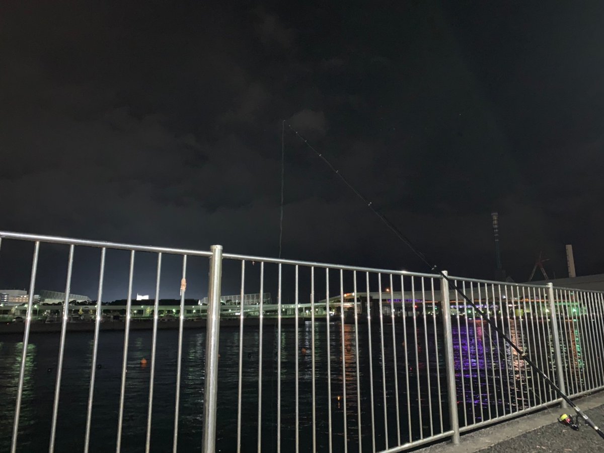 駅の下
11/22 20時～23時

カサゴ　1
豆アジ　6
シコイワシ

時間が出来たので久しぶりにふれーゆに行こうと思ってたのに風裏に逃げました😐️