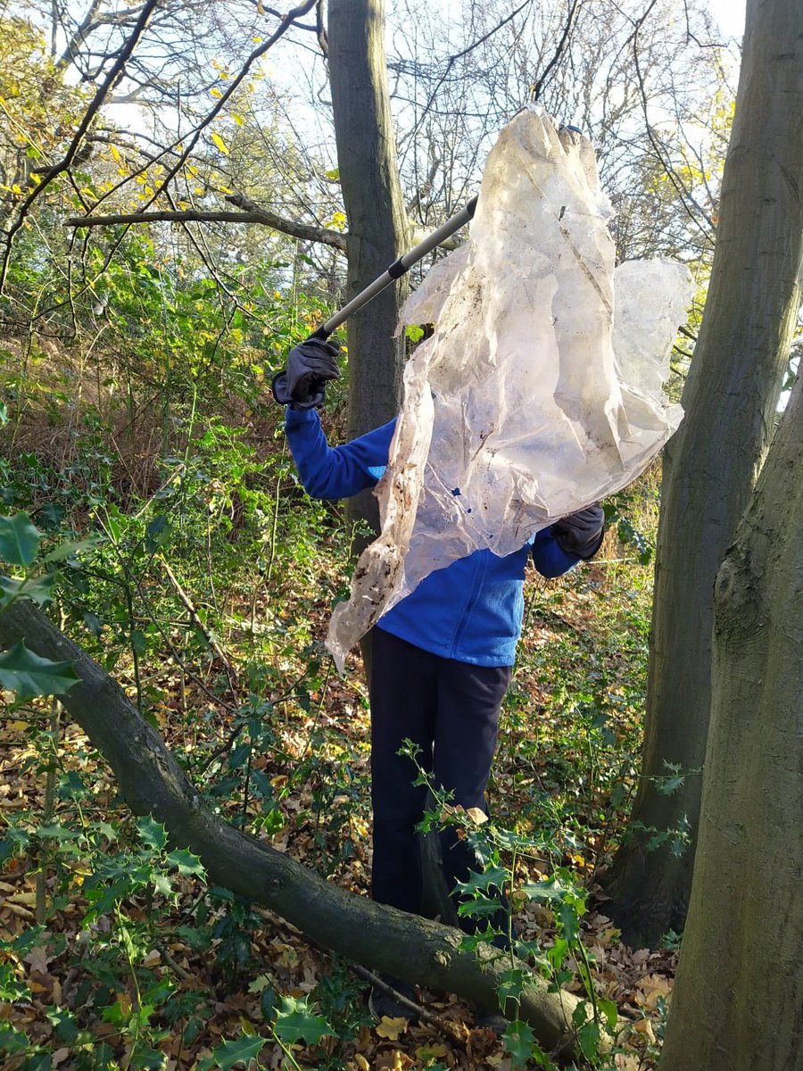 CoLEppingForest's tweet photo. Thanks to all the volunteer litter pickers helping us care for #EppingForest! This was a very helpful, local student working towards his #DofE award out volunteer litter picking, but we know there are many of you helping us protect this ancient woodland!#ThankYou #TreesNotTrash https://t.co/WSBUcUZQQ7