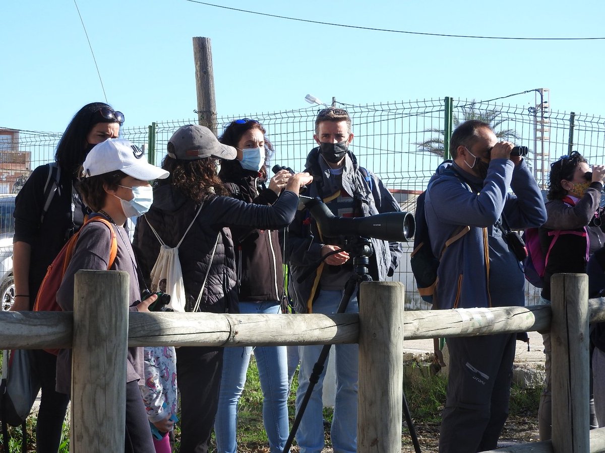Numenius_tours's tweet photo. Excursión de #birdingfamiliar por el Estany y Faro de #Cullera.
Éxito de convocatoria en esta nueva actividad de #birdwatching organizada por @SEO_BirdLife para dar a conocer las aves a todos los públicos.
Y un placer hacerlo en compañía de @YaninaMaggiotto https://t.co/8UTzcXVKi7