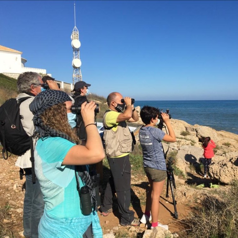 Numenius_tours's tweet photo. Excursión de #birdingfamiliar por el Estany y Faro de #Cullera.
Éxito de convocatoria en esta nueva actividad de #birdwatching organizada por @SEO_BirdLife para dar a conocer las aves a todos los públicos.
Y un placer hacerlo en compañía de @YaninaMaggiotto https://t.co/8UTzcXVKi7