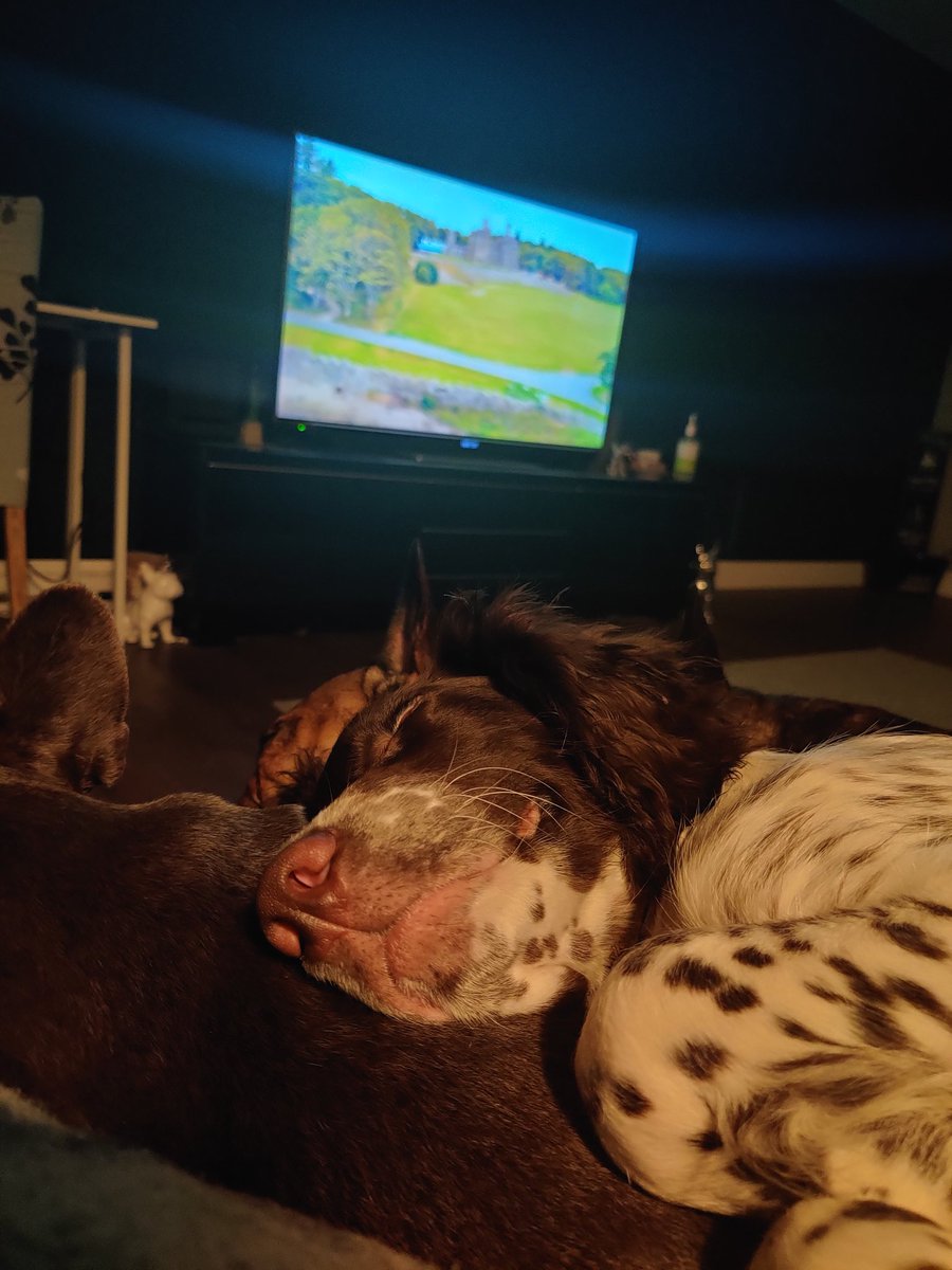 MOM🇺🇸 tweet media