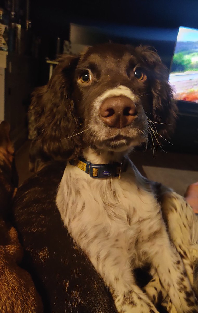 MOM🇺🇸 tweet media