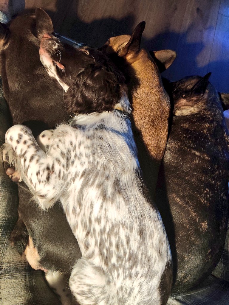 MOM🇺🇸 tweet media