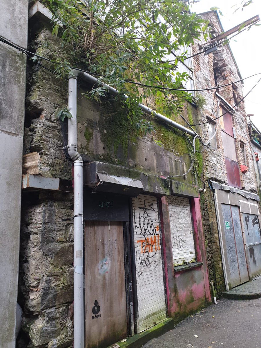 clearly a longterm casualty (photo bottom RHS is 2014  @googlemaps)hidden away down an old lane, left to decay, should be someones home, studio, shop, cafe in Corksad to see this level of decay in a beautiful city with so much potentialNo.188  #regeneration  #respect  #economy