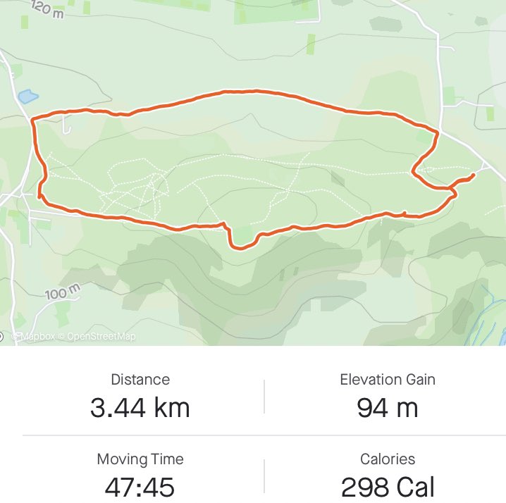 vmactive's tweet image. Lockdown morning walk in the Surrey hills 

#surreyhills #Lockdown2 #weekendwalk #walking #walk