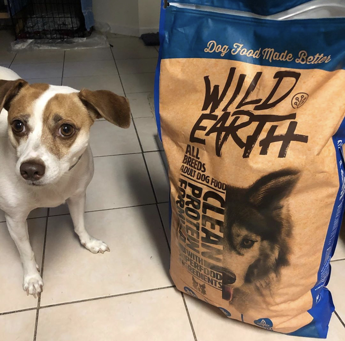 wildearthpets's tweet photo. 😐I see the bag is open already?! 🐾💙Kale
.
📸:@kaletherescue
.
.
#beagle #wildearth #beaglelife #beaglelove #beaglemix #beagles #beagledaily #wildearthpets #jackrussellworld #jackrussellterriers #jackrusselllove #jackrussellcross #jackrussellove #jackrusselsofinstagram https://t.co/pi6RbZZkQD