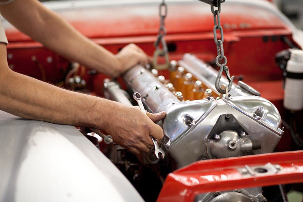 Mercedes Herrán tweet media