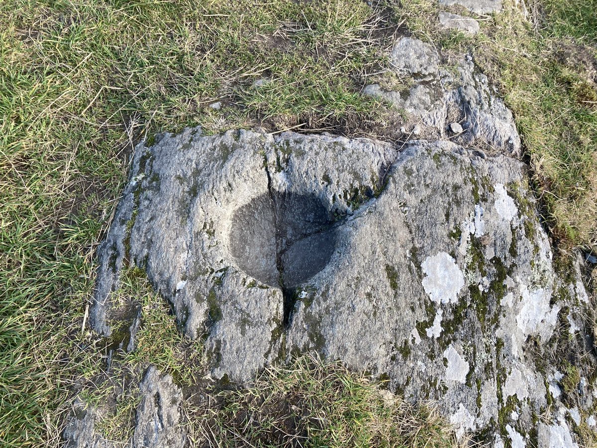 At the top of Dunadd is the inauguration stone with footprints & carvings including a boar. Here the Gaelic kings were symbolically married to the land they were to rule. A large bowl has been carved into the rock next to the stone & may have been a part of the kingship rituals