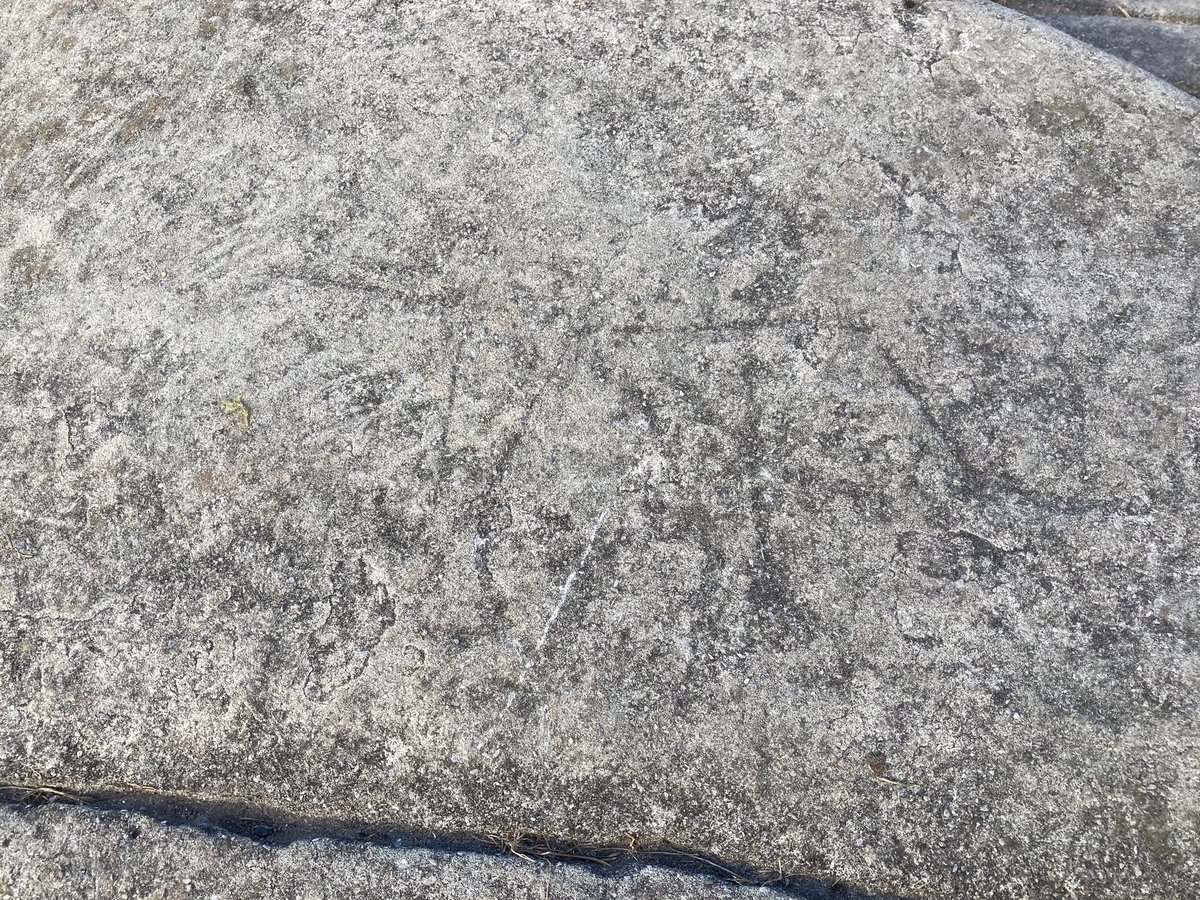 At the top of Dunadd is the inauguration stone with footprints & carvings including a boar. Here the Gaelic kings were symbolically married to the land they were to rule. A large bowl has been carved into the rock next to the stone & may have been a part of the kingship rituals