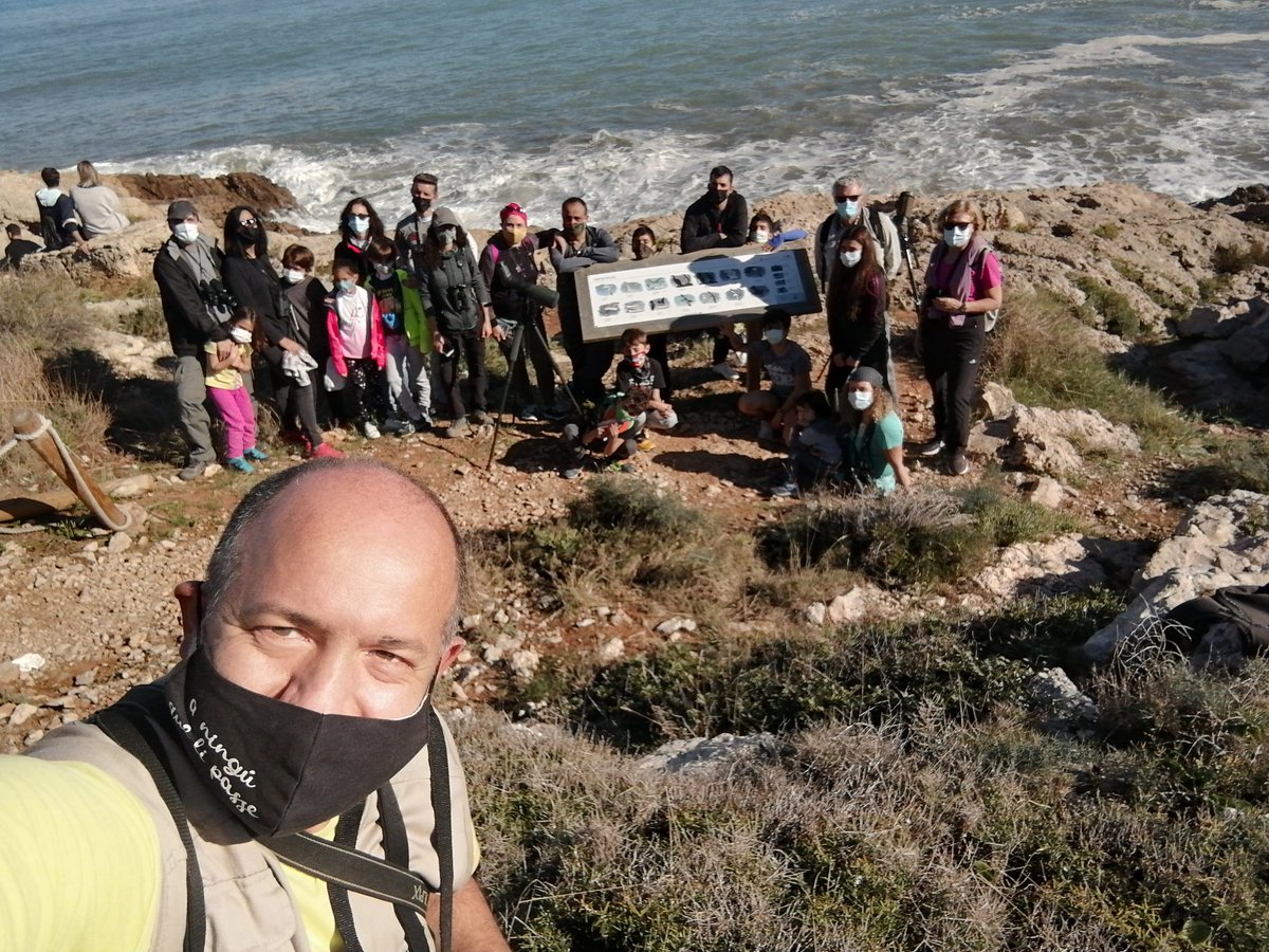 Numenius_tours's tweet photo. Crónica de la excursión de #birdingfamiliar por #Cullera organizada por @SEO_BirdLife para dar a conocer las aves y sus hábitats a todos los públicos. Hoy por las playas del #Marenyet, los orillas del #EstanyGrand y el #FarodeCullera en Valencia.

https://t.co/2gHWnlIwJB https://t.co/UZkobNyqMh
