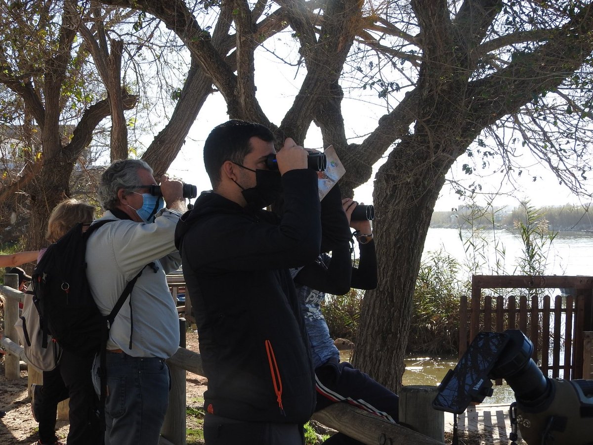 Numenius_tours's tweet photo. Crónica de la excursión de #birdingfamiliar por #Cullera organizada por @SEO_BirdLife para dar a conocer las aves y sus hábitats a todos los públicos. Hoy por las playas del #Marenyet, los orillas del #EstanyGrand y el #FarodeCullera en Valencia.

https://t.co/2gHWnlIwJB https://t.co/UZkobNyqMh