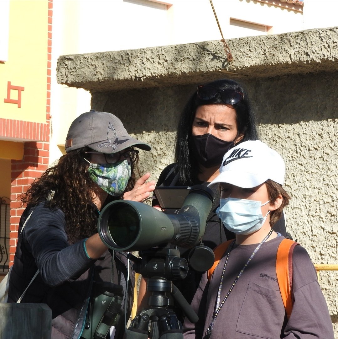 Numenius_tours's tweet photo. Crónica de la excursión de #birdingfamiliar por #Cullera organizada por @SEO_BirdLife para dar a conocer las aves y sus hábitats a todos los públicos. Hoy por las playas del #Marenyet, los orillas del #EstanyGrand y el #FarodeCullera en Valencia.

https://t.co/2gHWnlIwJB https://t.co/UZkobNyqMh