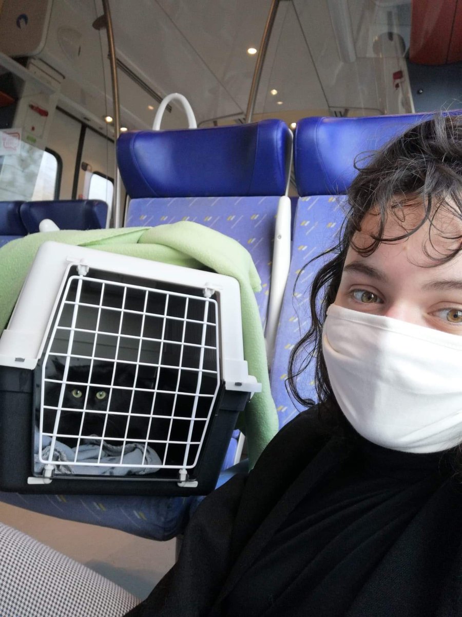 RefugedeBuigny's tweet photo. #Louma
🐱ADOPTÉE🐱
Louma a trouvé sa maman de cœur ❤️ Une belle vie s’annonce pour Louma qui aura un compagnon de jeu 😍
Elle va avoir une maman qui aura la patiente et la tendresse nécessaire, elle sera très chouchoutée 🥰
Un grand merci pour Louma et soyez heureuses ❤️ https://t.co/c40nEMmUTA