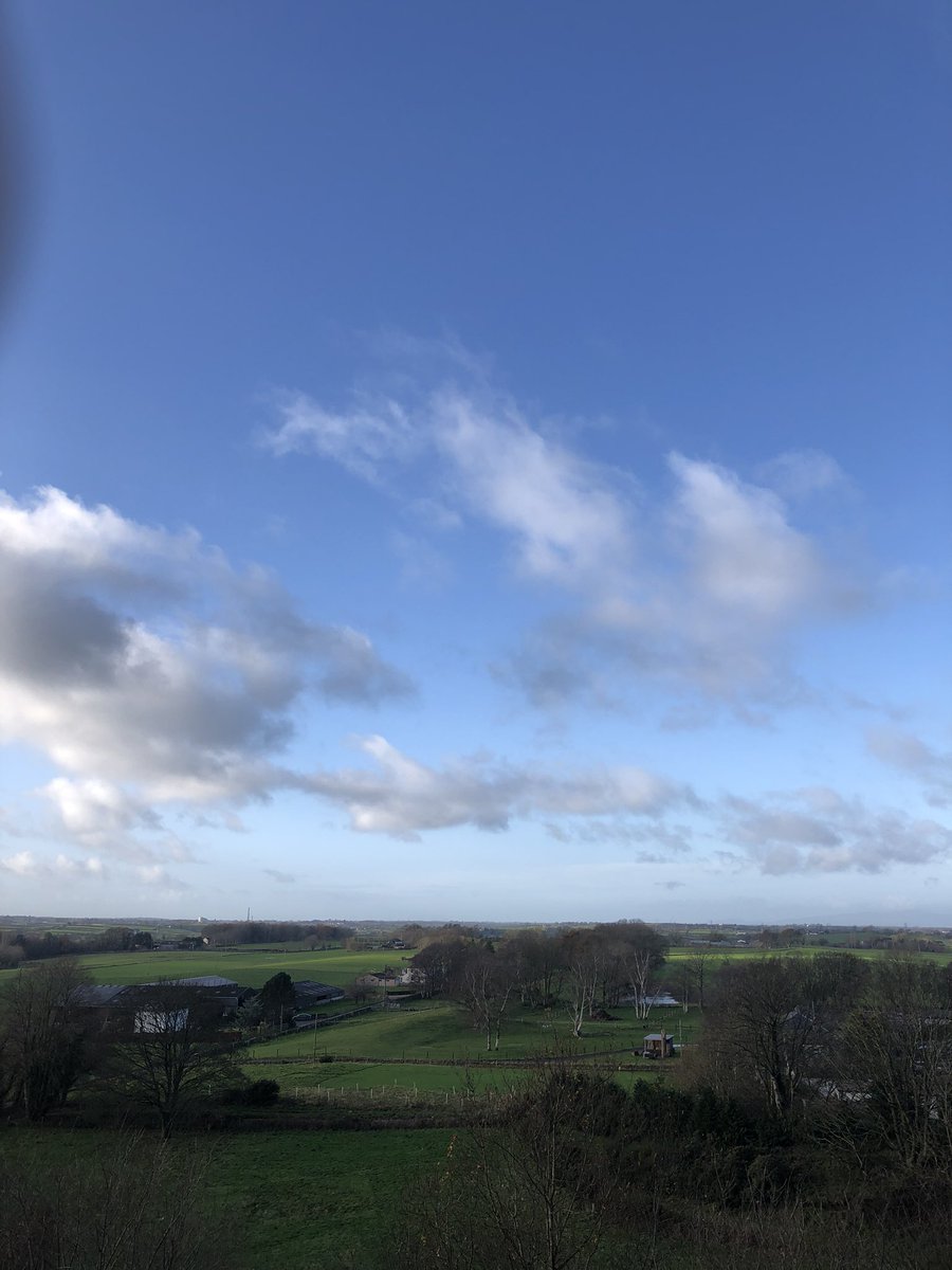 stitchedceramic's tweet photo. Lovely local family walk to the woods today https://t.co/WlQCLPIDzd