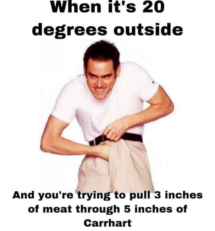 SquirrelonTO's tweet image. 