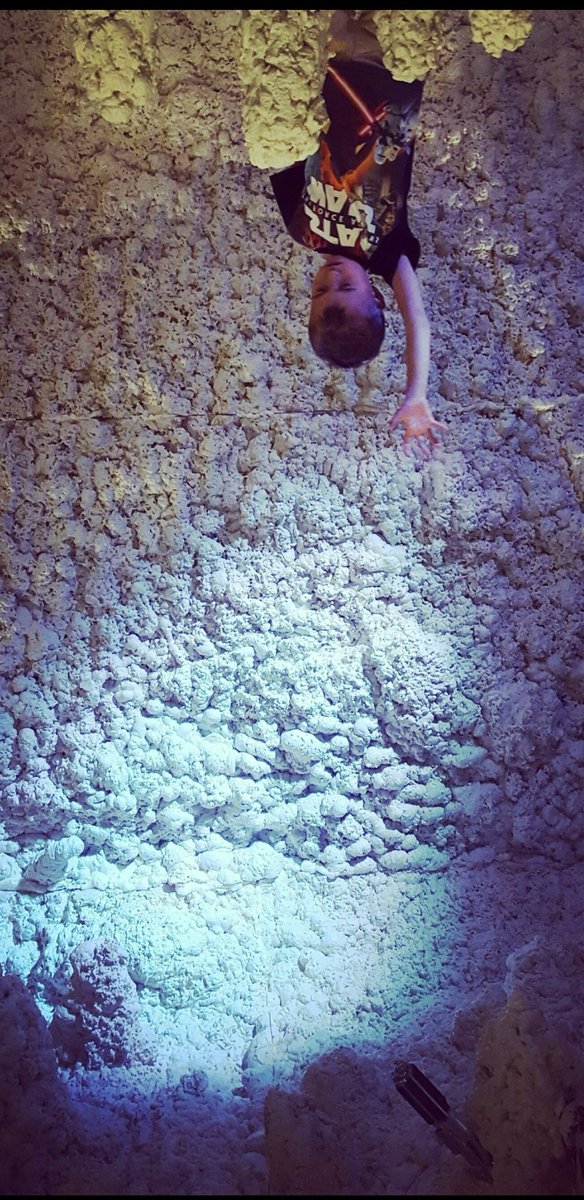 Parold's tweet image. Remembering the time Oscar went to Hoth, used the force to free himself and slayed a wampa...or was it @HamillHimself 🤔 #lukeskywalker #maytheforcebewithyou @starwars #starwars #theempirestrikesback