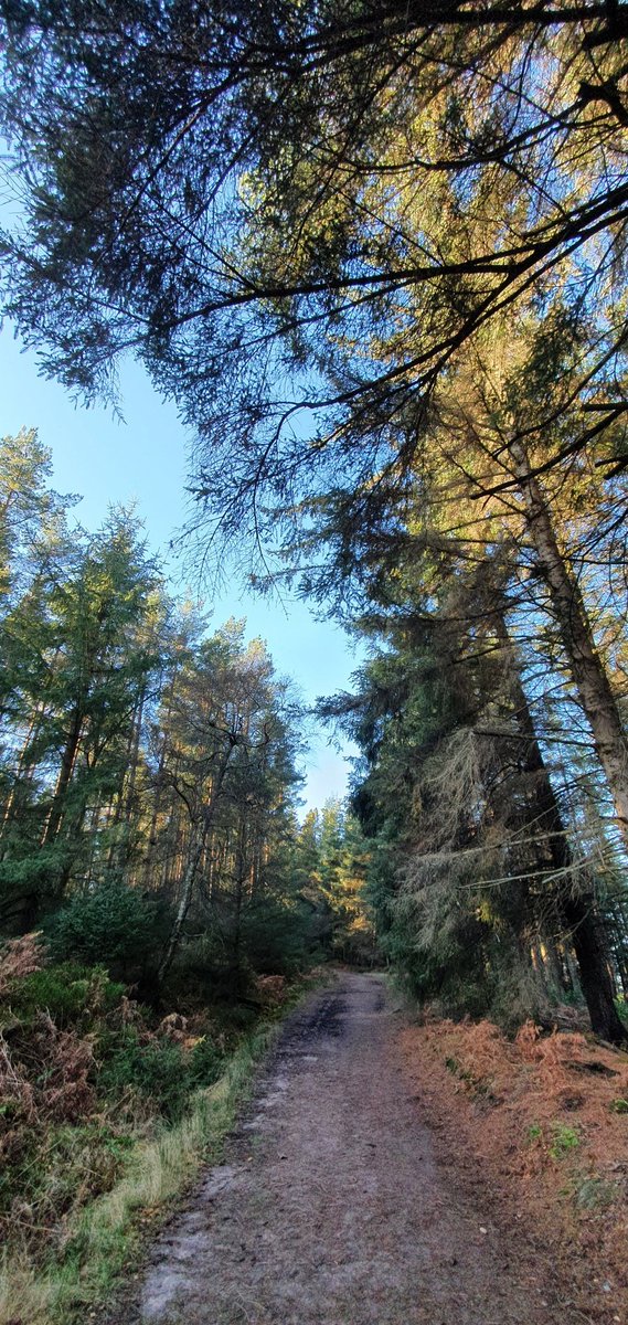 Andy_911 tweet media