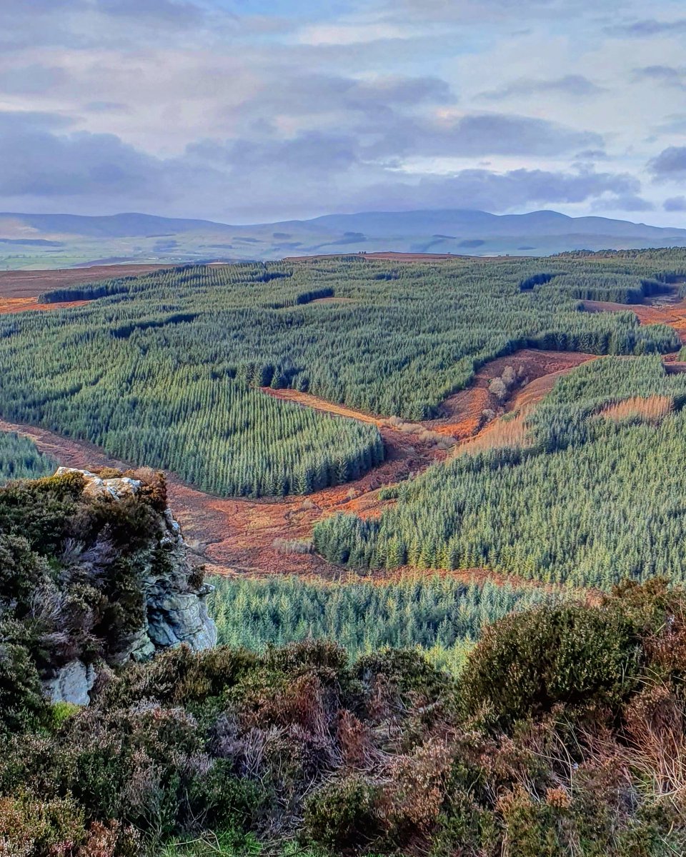 Andy_911 tweet media