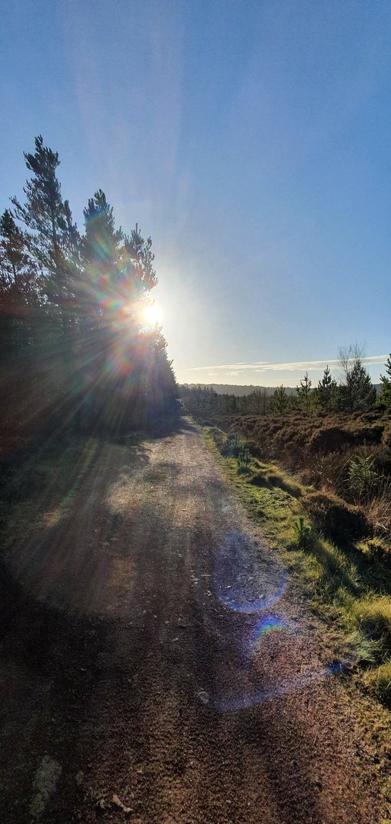 Andy_911 tweet media