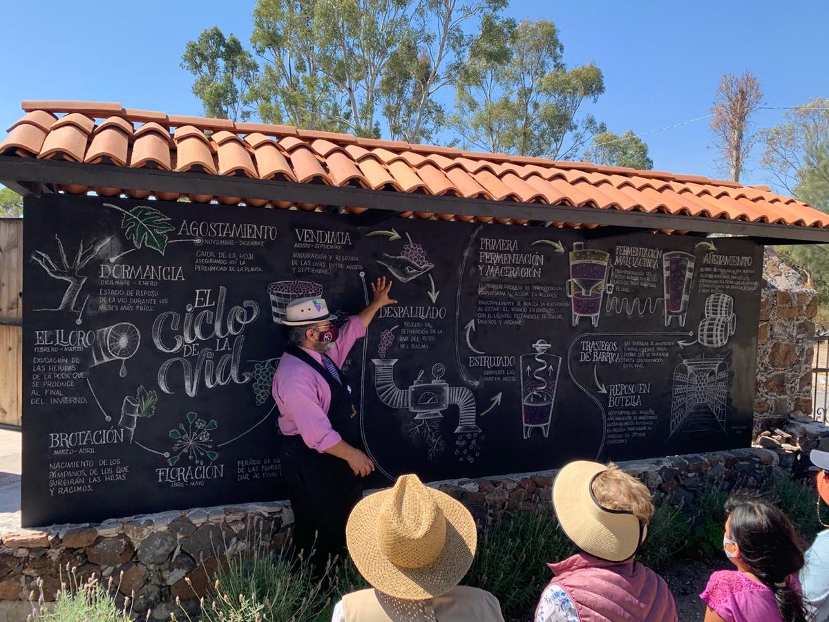 BodegasVaiven's tweet photo. Ya conoces el #CicloDeLaVid? 🍇 
Entérate de cómo se elabora el  #vino en nuestros recorridos. 🌱☀️

#VinoMexicano https://t.co/jrMiWSDvQL