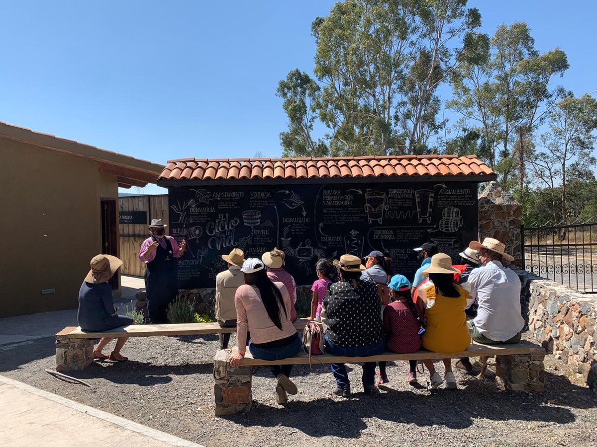 Ya conoces el #CicloDeLaVid? 🍇 
Entérate de cómo se elabora el  #vino en nuestros recorridos. 🌱☀️

#VinoMexicano