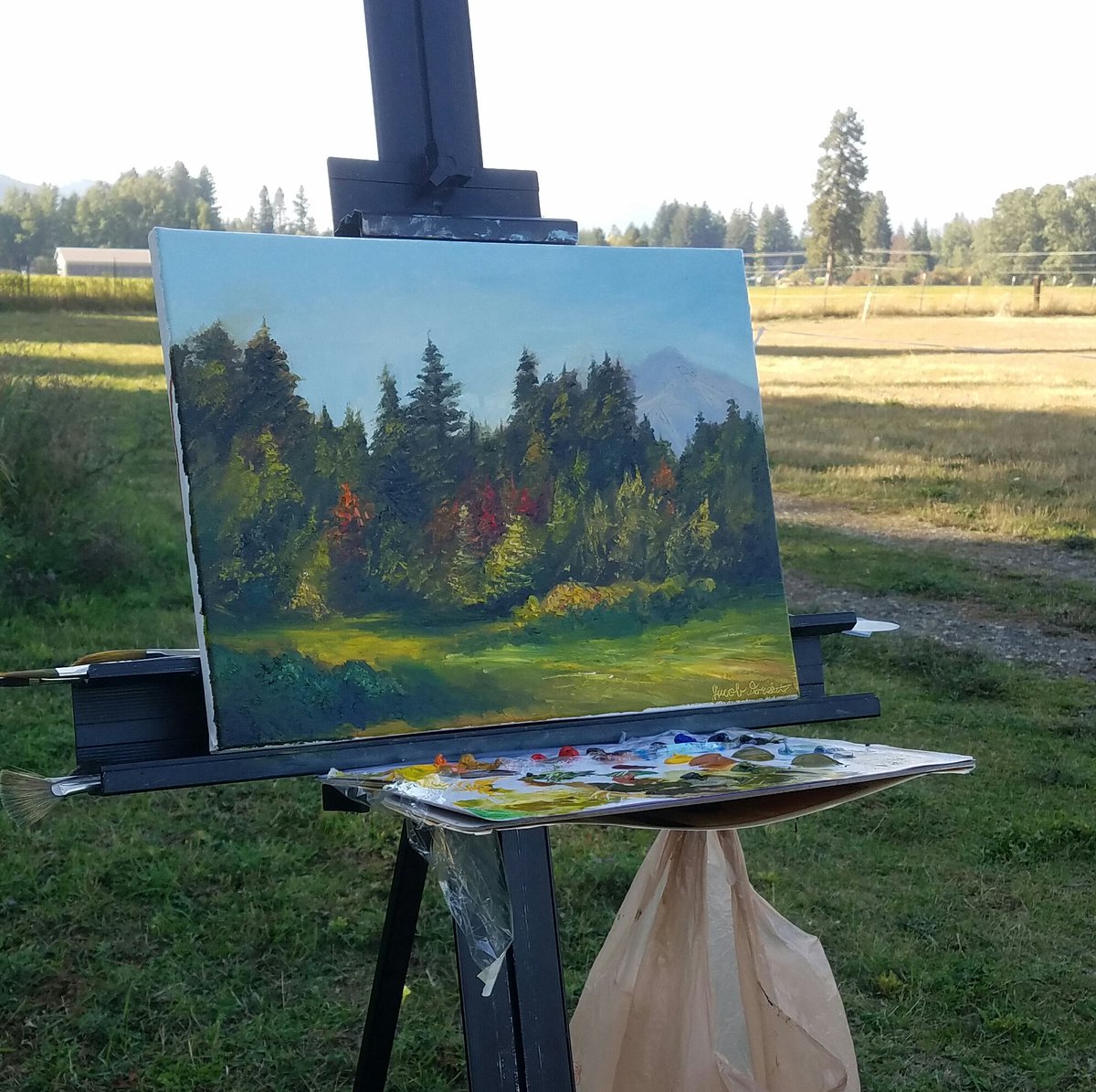 dorsett_tattoo's tweet photo. 2.5 hr. Plein Air Study
Oil on canvas.
Nature is definitley where we learn the most.π
#pleinair #landscape #allaprima #oilpaint #oilpainting #tree #trees #treepainting #forest #forests #washington #washingtonforest #washingtonforests #cleelum #cleelumwa #roslynwa #fallcolors https://t.co/jPfH8GJe7A