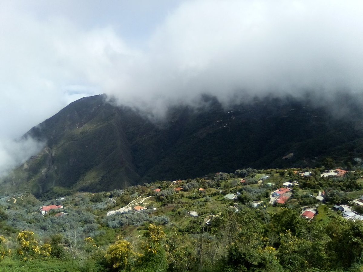 MaldicionKnoche's tweet photo. Galipan es el lugar ideal para soñar.

¿O quizás no? https://t.co/snFEMj95Dv