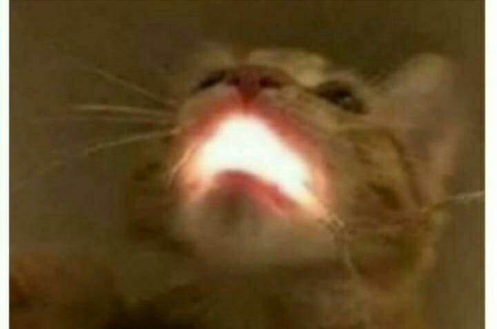 blogic__'s tweet image. Tokom svakog ručka:
- Ja: Jel vruće?
- Tata: Nije, taman je.
- Ja: