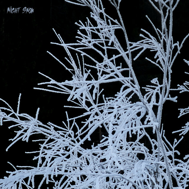 RaighesFactory's tweet photo. Discover Night Snow by Penelope Ellis on "Early Mornings"

=> Spotify https://t.co/xtKZdtUo4l
=> Deezer https://t.co/Iacd3nAZNj

#InstrumentalMusic #EarlyMorning #MorningMusic #Breakfast #Music #Morning https://t.co/J4qMdTexvO
