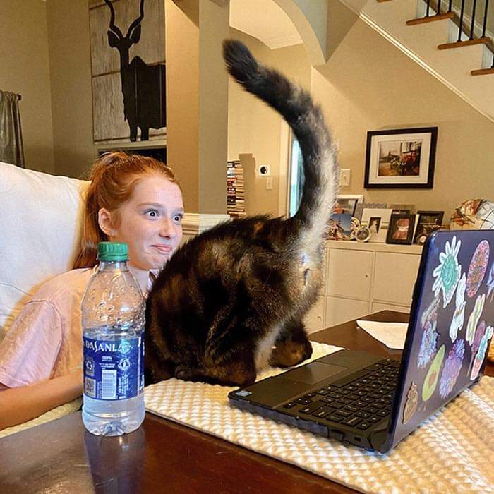 gatitos_qctd's tweet photo. Ahí les va algo claseeeee https://t.co/wbW2nBGGEz