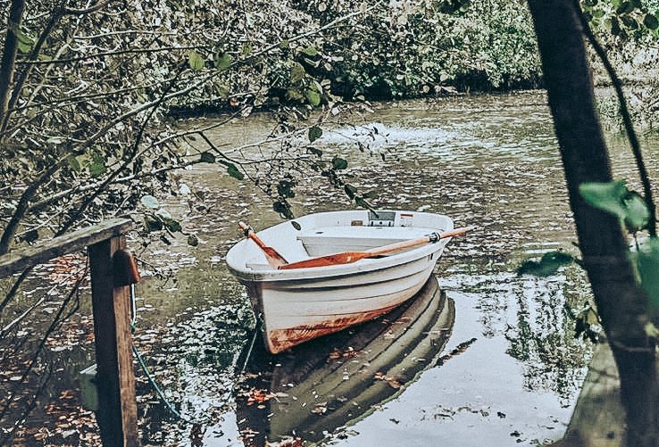 🌊 Sailing home 🌊 
.
.
We’re riding the second wave. But just 11 more sleeps until we can sea you all again. ✨🌊💙