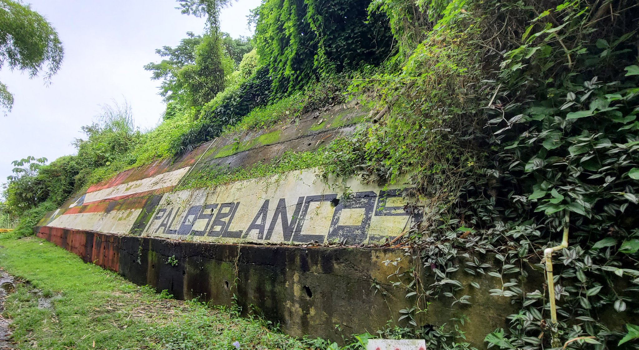 Cliente Prefijo arco bandera de corozal puerto rico Opaco Masaccio