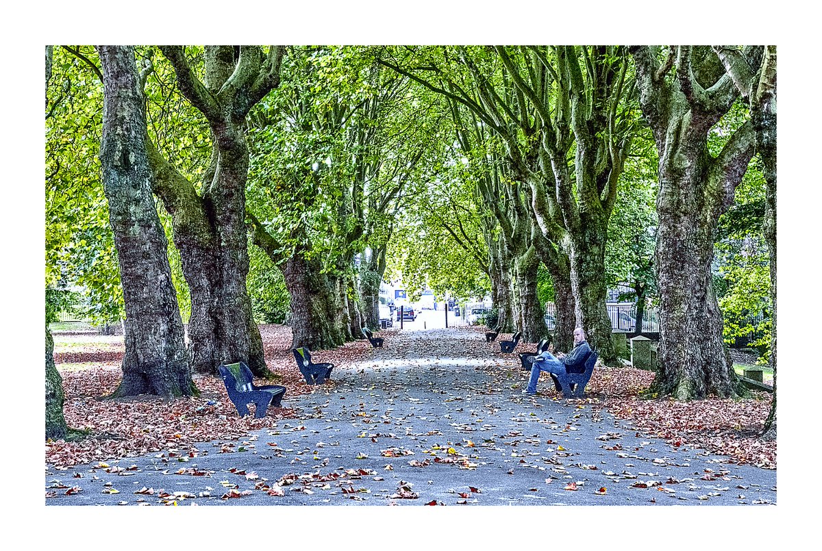 4evertakingpics's tweet photo. Lovely day for a run in the park #autumn #brumhour #Birmingham #bham #photooftheday https://t.co/BTLiDypEoP