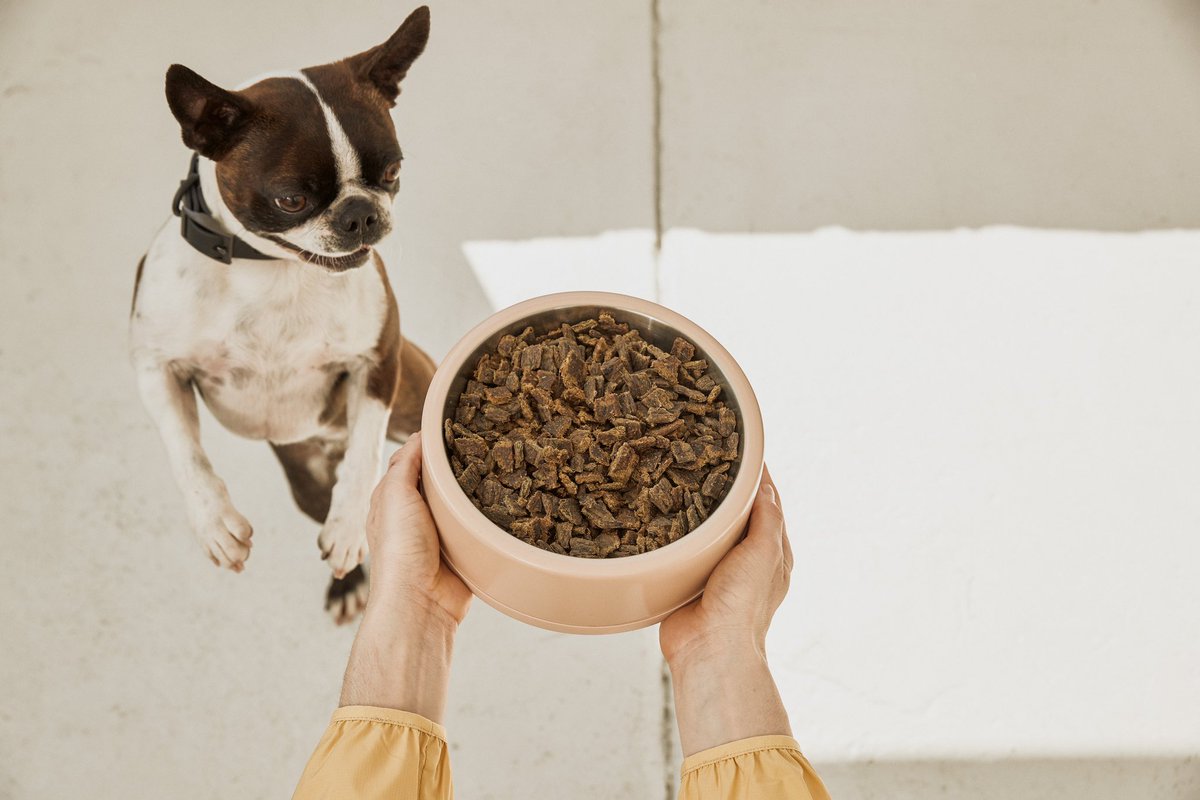 Sundays unique air-drying method produces a jerky-like texture that looks and tastes like a treat! Even our pickiest pups can’t resist! 👀