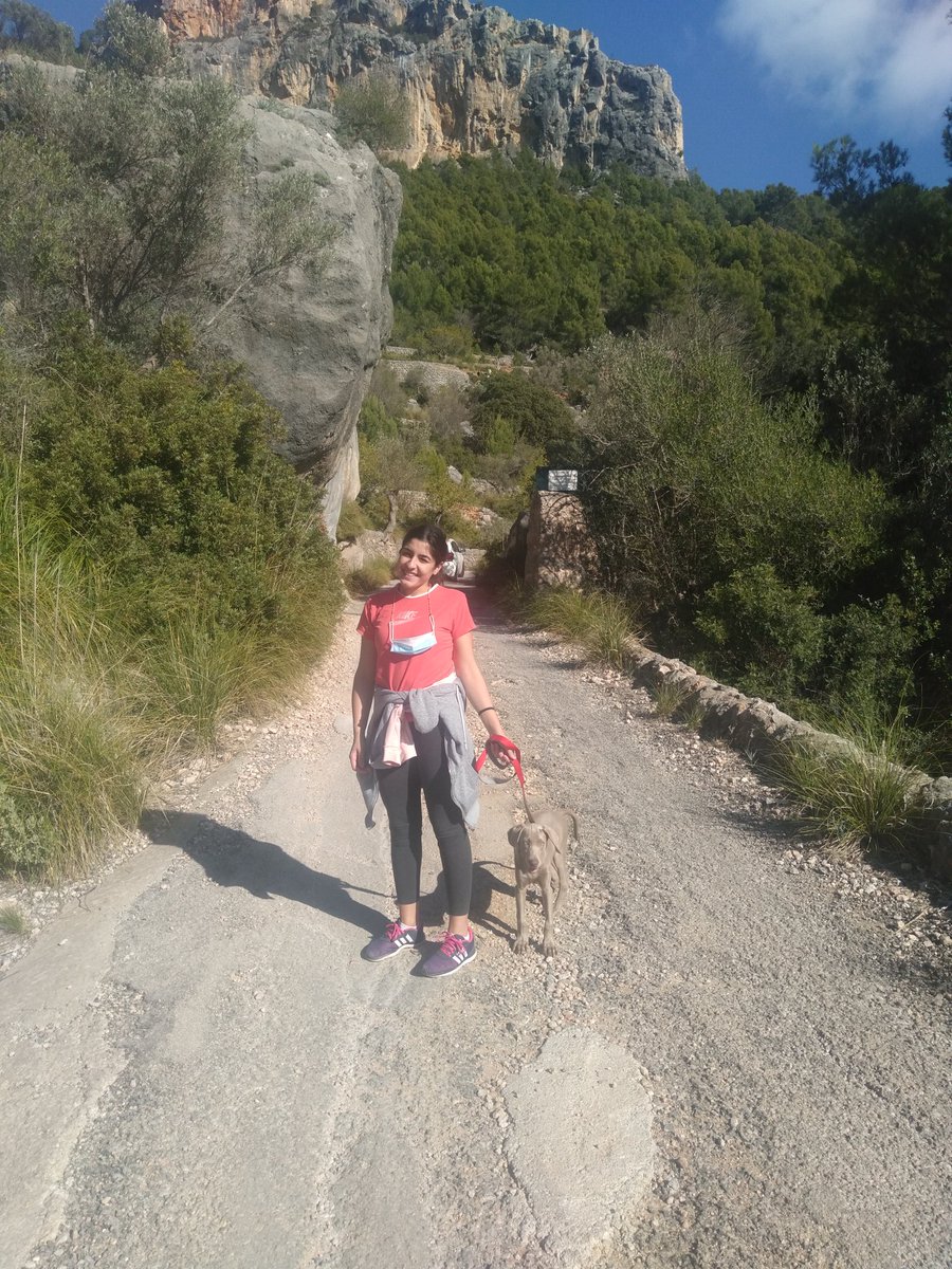 LauraManzano17's tweet photo. Castell d'Alaró ⛰️🏰🚶‍♀️#22121 #22121-UIB https://t.co/AgNHm4MXCN