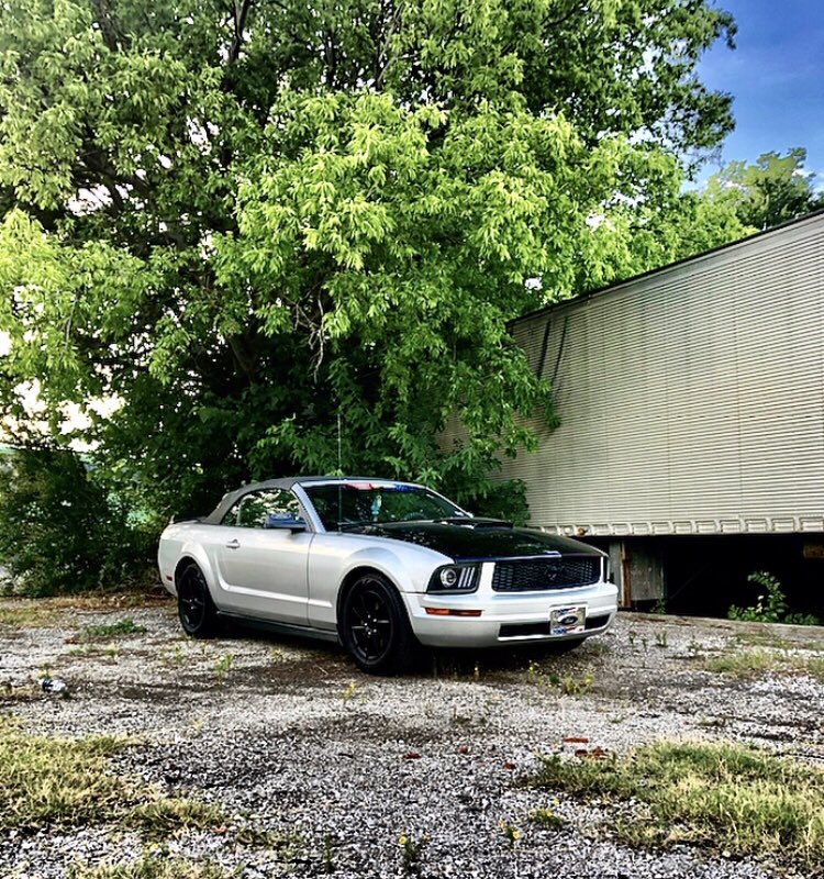 Rachel Freeze™ tweet media