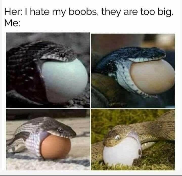 myunclesmemes's tweet photo. U reading this ? https://t.co/9hV1oMZq0B