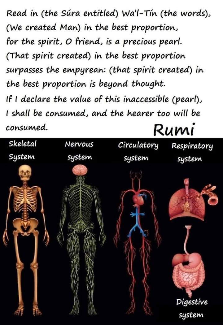 Hammadahmad02's tweet photo. Indeed We created man in the best of forms, [in the best] proportioning of his shape. 
The Holy Qur'an 95.4 (Surah Wa'l-Tin)

Nature is an amazing work of art; it cannot be the artist. Nature is an elegantly-written book; it cannot be the author.
#Rumi #Naturewrites https://t.co/JYziNBoPTW
