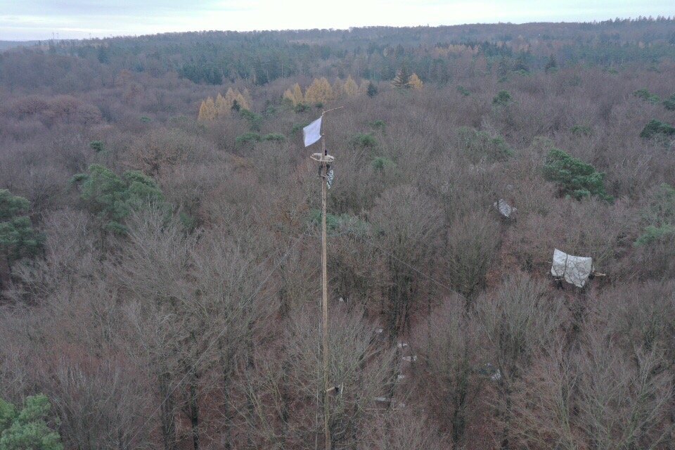 keinea49's tweet photo. Morgen gehts weiter, @irgendwo_n ist gefasst auf die #CO2ps. Wir haben hier ein autonomes Leben aufgebaut - was wir hier gelernt haben, könnt ihr uns nicht mehr nehmen.

Tomorrow they will attack nirgendwo. We built an autonomous life here - you can't evict an idea!

#DanniBleibt https://t.co/XP7OuYb7ld