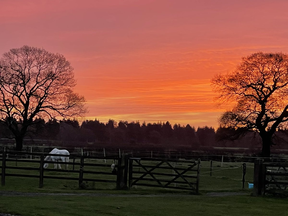 Fab sunrise this morning #sunrise #northyorkshire #weather #NaturePhotography #sunrise  <a href="/northyorkswx/">NorthYorksWeather</a> #horses