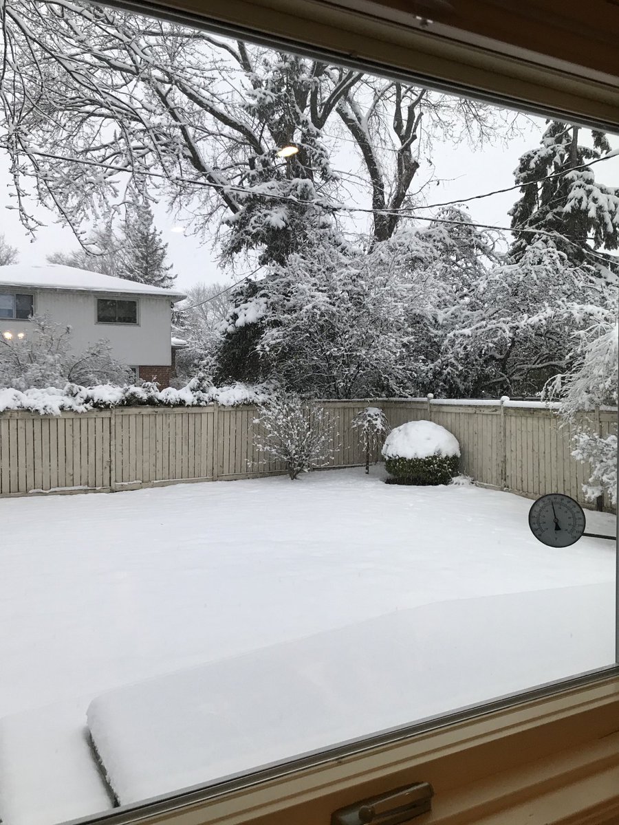 samhinthecity's tweet photo. Picture #window #kitchenviews OK #Stop https://t.co/usmPEyYl5D