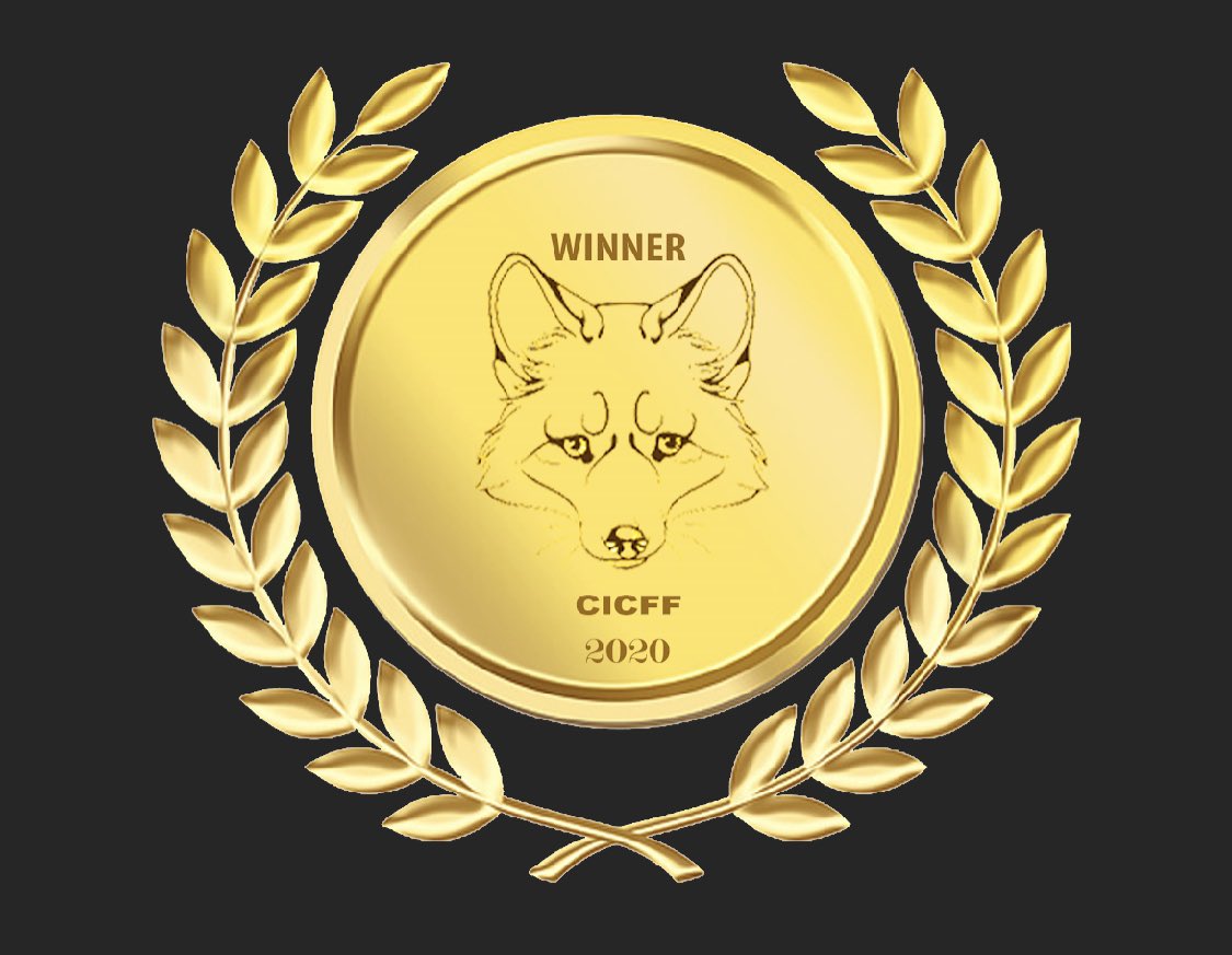 JSFilms3's tweet image. UMOYA WINS ANOTHER 6 FILM AWARDS IN INDIA!!!

The Awards are climbing as the UMOYAMANIA is beginning to grow around the world! UMOYA took top honors again with winning 6 Awards at the CALCUTTA INTERNATIONAL CULT FILM FESTIVAL in India!
We would like to thank the CICFF and INDIA!