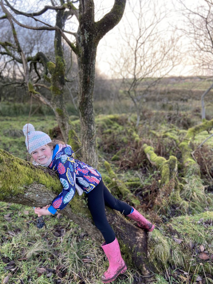 nicchaps's tweet photo. @ForestSchBPS We went for a walk today and Ariana said when she hugged the tree the stress disappeared (not sure she knows the meaning of the word stress!!) https://t.co/HRsJvMSWTW