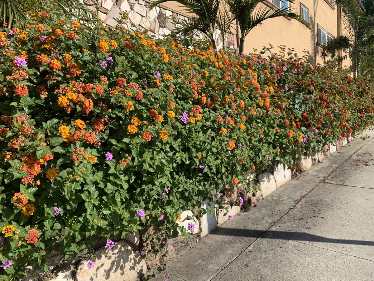 Grading Gardens Blog tweet media